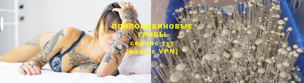 твердый Медногорск