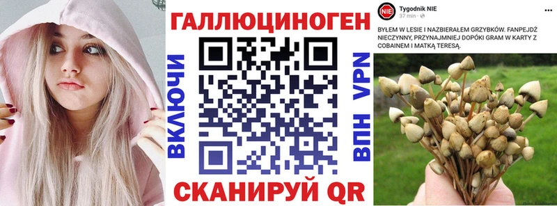 Псилоцибиновые грибы Psilocybe  Купить  Самара 